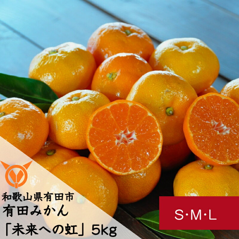 【ふるさと納税】【1月お届け】有田みかん「未来への虹」（5kg）(A973-1)のサムネイル