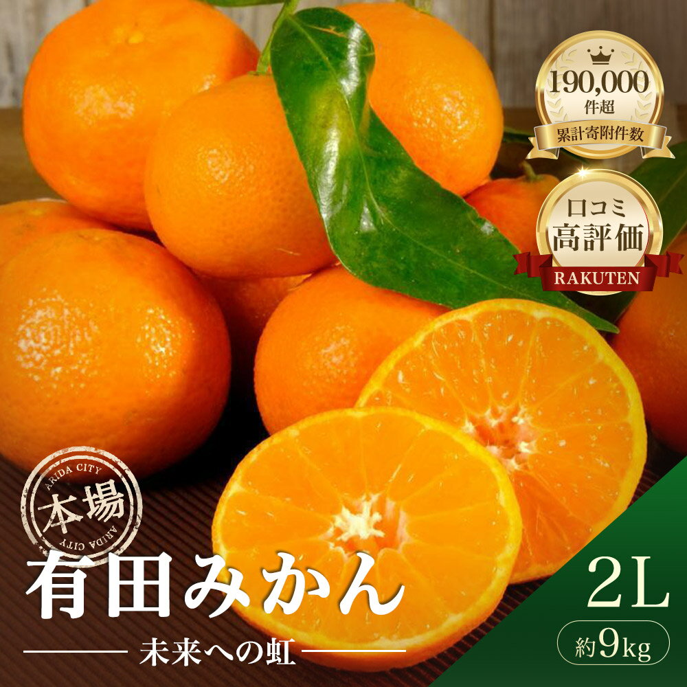 【ふるさと納税】★本場有田市産★ 有田みかん「未来への虹」 