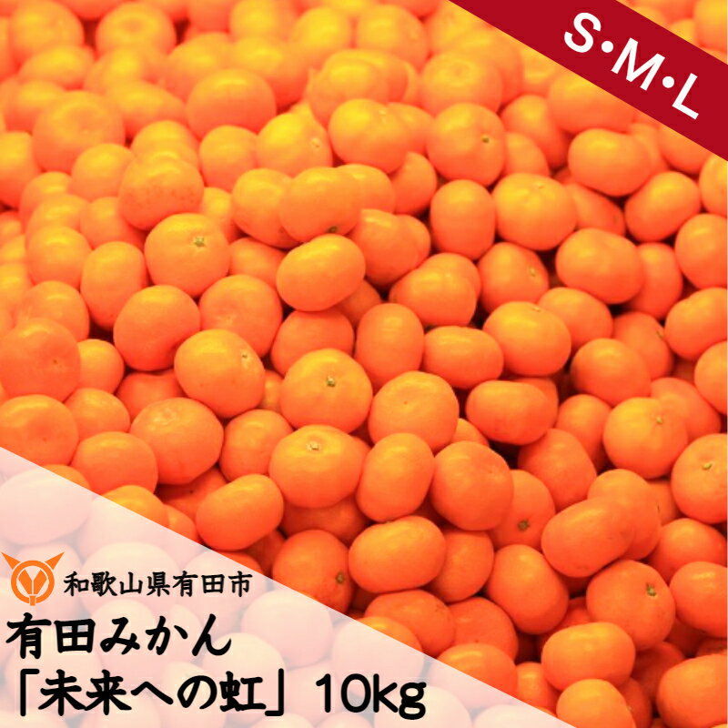 【ふるさと納税】有田みかん 未来への虹 10kg A2-1 みかん ミカン mikan 有田 有田市 ありだ 和歌山 送料無料 産地直送 フルーツ 果物 てんこ盛り てんこもり 本場 甘い 濃厚 ジューシー S M L…