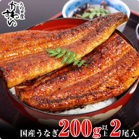 【ふるさと納税】〈うなぎ屋かわすい〉超特大国産うなぎ2本セット(1尾：200～229g)（A113-1）