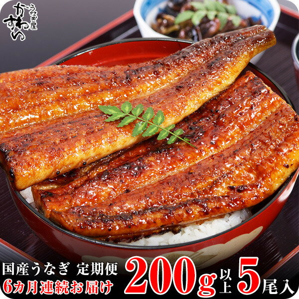 【ふるさと納税】【定期便】〈うなぎ屋かわすい〉国産うなぎ蒲焼き超特大サイズ5本セット（6ヶ月お届け）(A592-1)国産 うなぎ 蒲焼き 国産うなぎ うなぎ蒲焼き