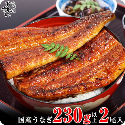 〈うなぎ屋かわすい〉1本230g以上！超特大サイズ国産うなぎ蒲焼き2本セット(A632-1)