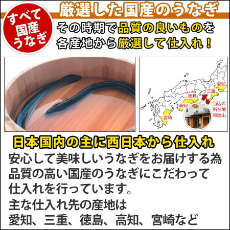 【ふるさと納税】国産うなぎ蒲焼き5本セット