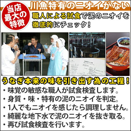 【ふるさと納税】国産うなぎ蒲焼き5本セット