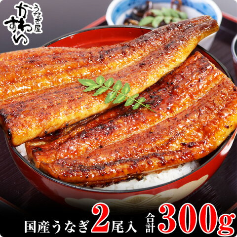 【ふるさと納税】国産うなぎ蒲焼き大サイズ2本セット