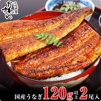 【ふるさと納税】国産うなぎ蒲焼2本セット(1本：120〜149g)