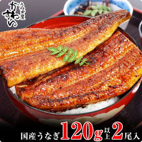 【ふるさと納税】〈うなぎ屋かわすい〉国産うなぎ蒲焼2本セット(1本：120～149g)(A268-1)