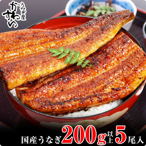 【ふるさと納税】〈うなぎ屋かわすい〉超特大サイズ国産うなぎ蒲焼き5本セット（合計1kg）