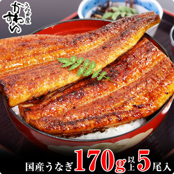 【ふるさと納税】〈うなぎ屋かわすい〉特大サイズ国産うなぎ蒲焼き5本セット（合計850g）(A490-1)のサムネイル