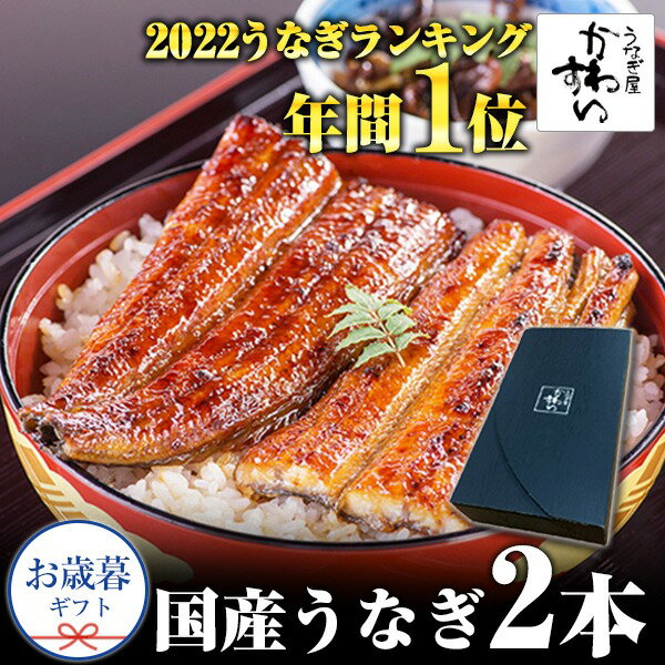 (お歳暮)国産うなぎ蒲焼き大サイズ2本セット(A1115-1)