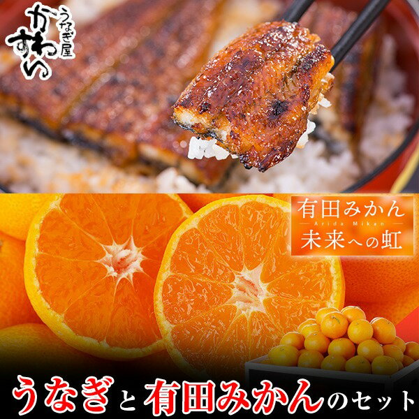 [コラボ]国産うなぎ蒲焼き大サイズ2本セット&有田みかん「未来への虹」(5kg)(A1125-1)