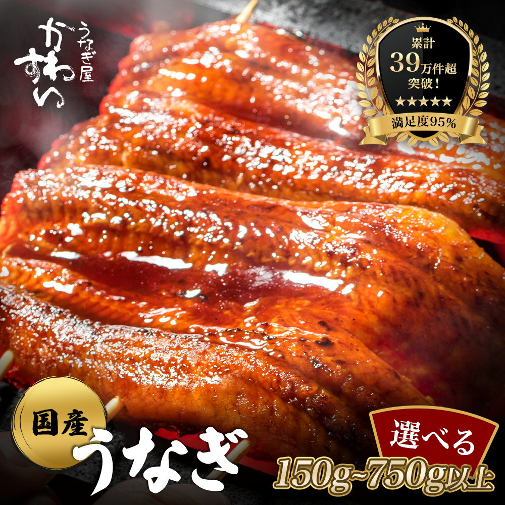 【ふるさと納税】【楽天うなぎ部門13年連続第1位！】 国産 うなぎ 鰻 蒲焼き 2尾（150〜169g）〈 うなぎ屋 かわすい 〉 グルメ大賞連続受賞 特製タレ付 送料無料 高評価 人気 ギフト 贈り物 お歳暮 御歳暮 土用丑の日 お中元 父の日 特産品 和歌山県 有田市