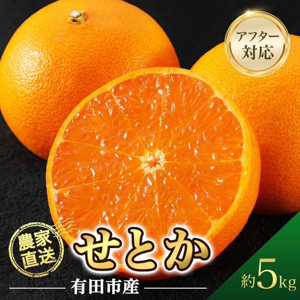 [年内予約受付中!] せとか 約5kg みかん 濃厚 甘い 柑橘 大トロ フルーツ 果物 くだもの 人気 おすすめ レビュー高評価 ギフト 贈答 送料無料 国産 和歌山 有田市[2026年2月中旬より順次発送](A139-1)