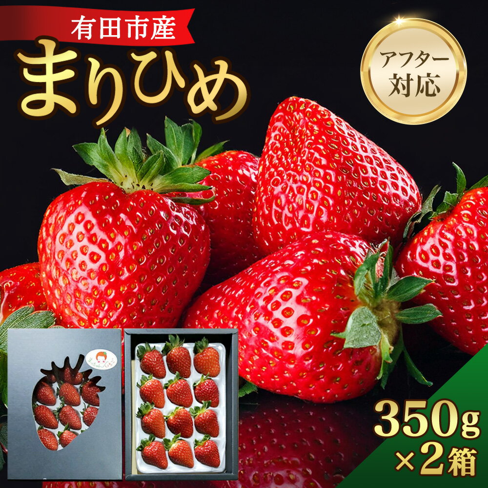 【ふるさと納税】【特選】 大粒 いちご 「まりひめ」 約350g×2箱 苺 濃厚 甘い フルーツ 果物 くだも...