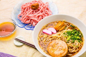【ふるさと納税】和歌山ラーメン&梅うどんセットが大人気返礼品になっている理由とは ふるさと納税 人気 返礼品 ランキング