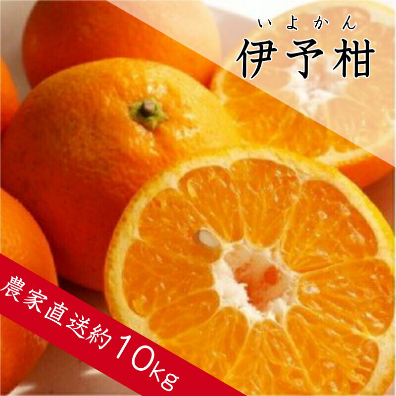 【ふるさと納税】伊予柑（約10kg）（A359-1）