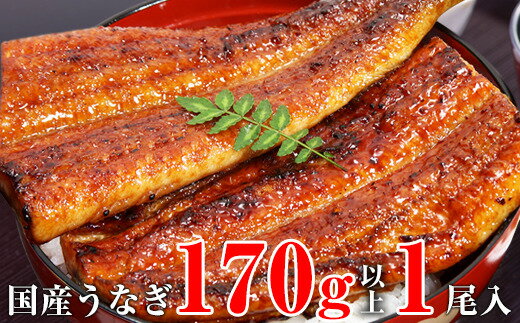 【ふるさと納税】国産うなぎ蒲焼き170g1本セット(A1003-2)