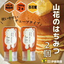 【ふるさと納税】山花のはちみつチューブボトル300g 2個(A1015-1)