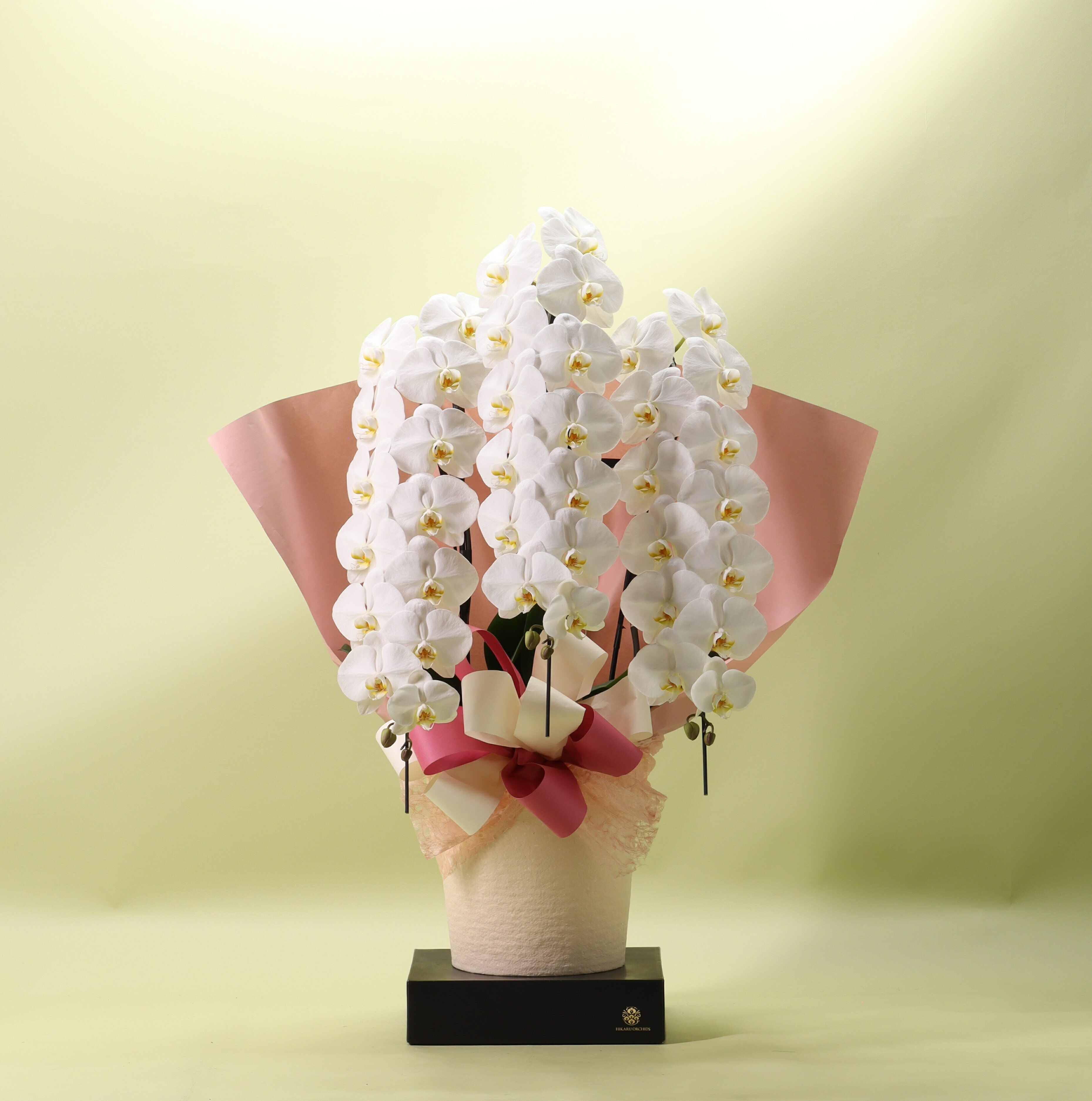 【ふるさと納税】フォアスPREMIUM胡蝶蘭3本立ち45輪以上 ピンク (A1032-2)