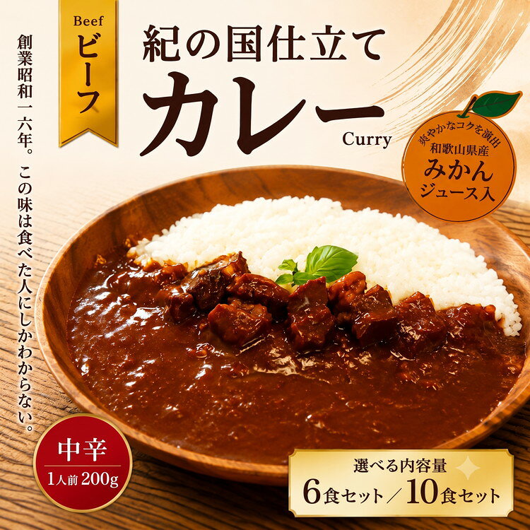 選べる内容量 紀の国仕立て カレー （ビーフ） 6食・10食 中辛 1人前200g ｜ レトルト カレー 晩御飯 晩ご飯 お昼 お手軽 時短 おうち時間 一人前 牛肉 ビーフ