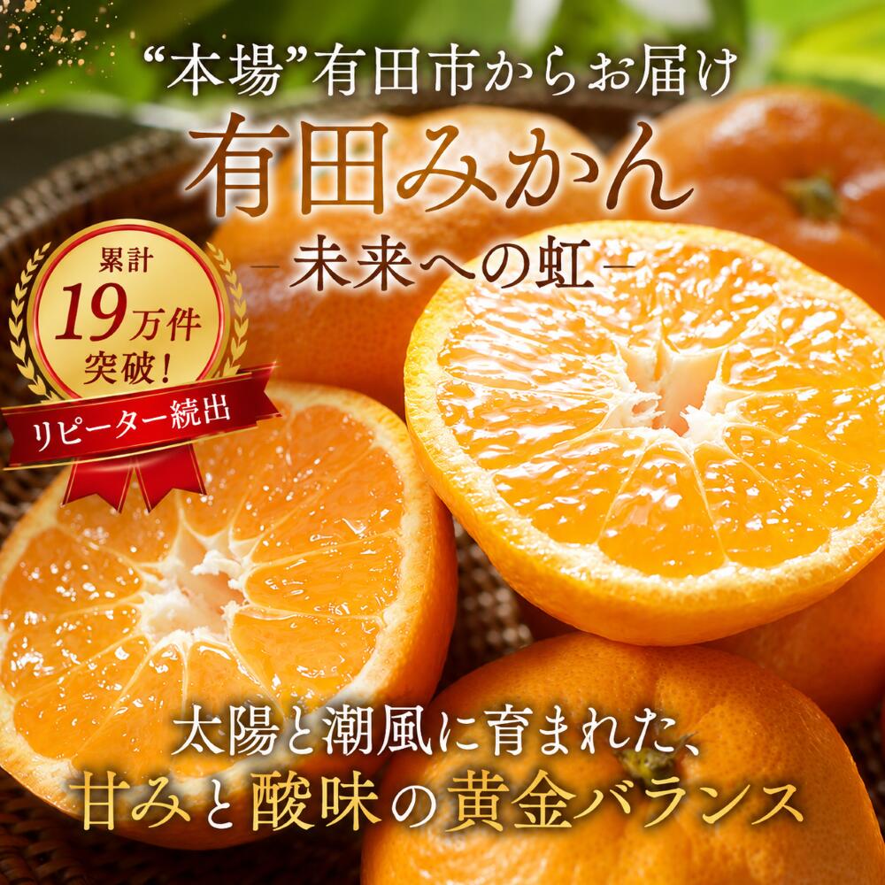 【ふるさと納税】★2026年先行予約★ 有田みかん 「未来への虹」 5kg 10kg SS S M L みかん フルーツ 果物 ランキング 人気 甘い 濃厚 送料無料 産地直送 糖度あり 小玉 大玉 柑橘 ギフト 贈答用 家庭用 高評価 返礼品 和歌山 有田市 ★ランキング1位獲得★ （A2-2） f302040-arida-10000003 和歌山県有田市 サンプル画像2