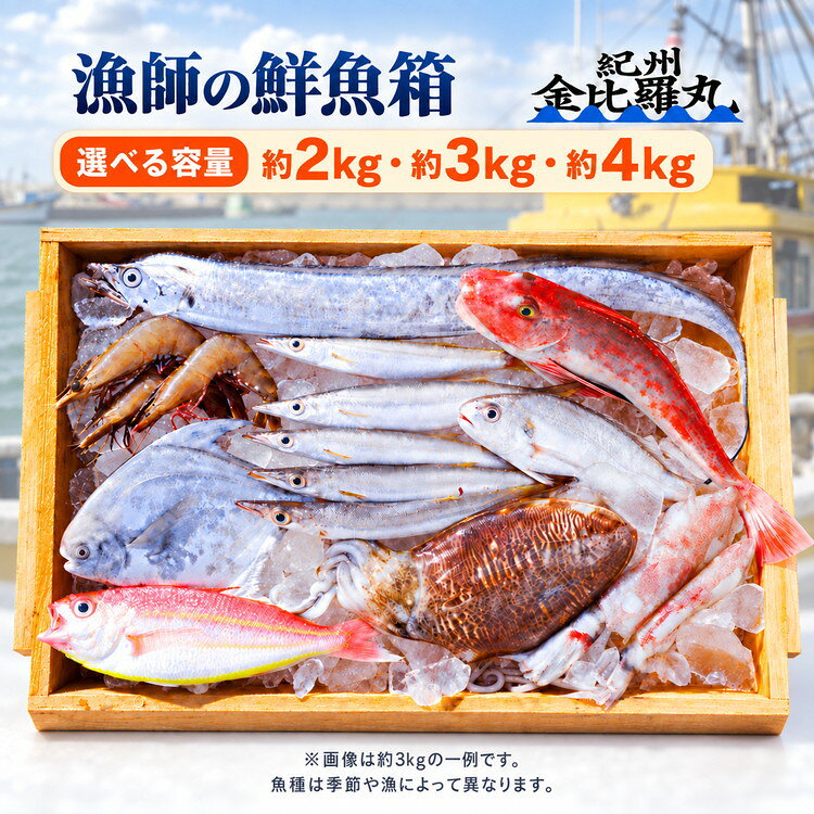 漁師の鮮魚箱 約2kg