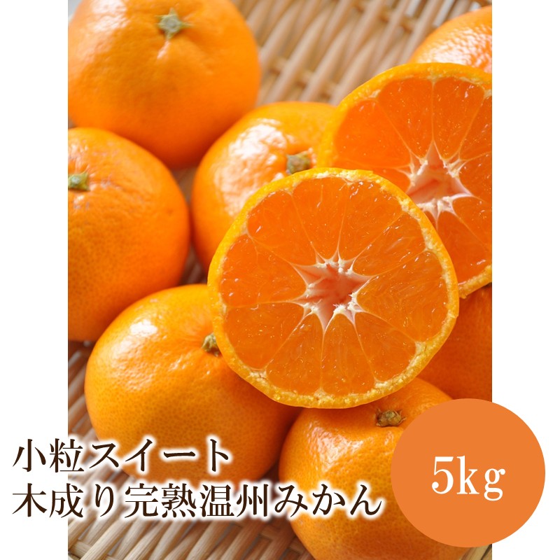 小粒スイート 木成り完熟温州みかん5kg≪先行予約≫2026年12月より順次発送予定