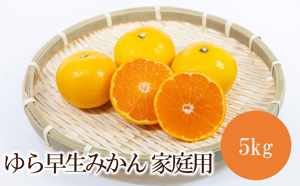 ゆら早生みかん 家庭用 5kg