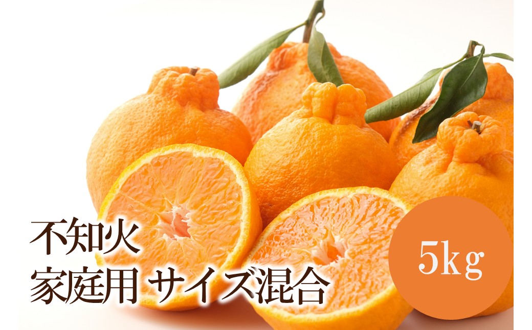 【ふるさと納税】不知火家庭用(サイズ混合) 5kg f302058-gobo-10001581 和歌山県御坊市 パッケージ画像