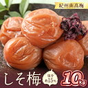 22位! 口コミ数「0件」評価「0」紀州南高梅 しそ梅(塩分15%) 10kg（和歌山県産） 梅干し 梅干 うめぼし 送料無料 ふるさと納税 梅干し