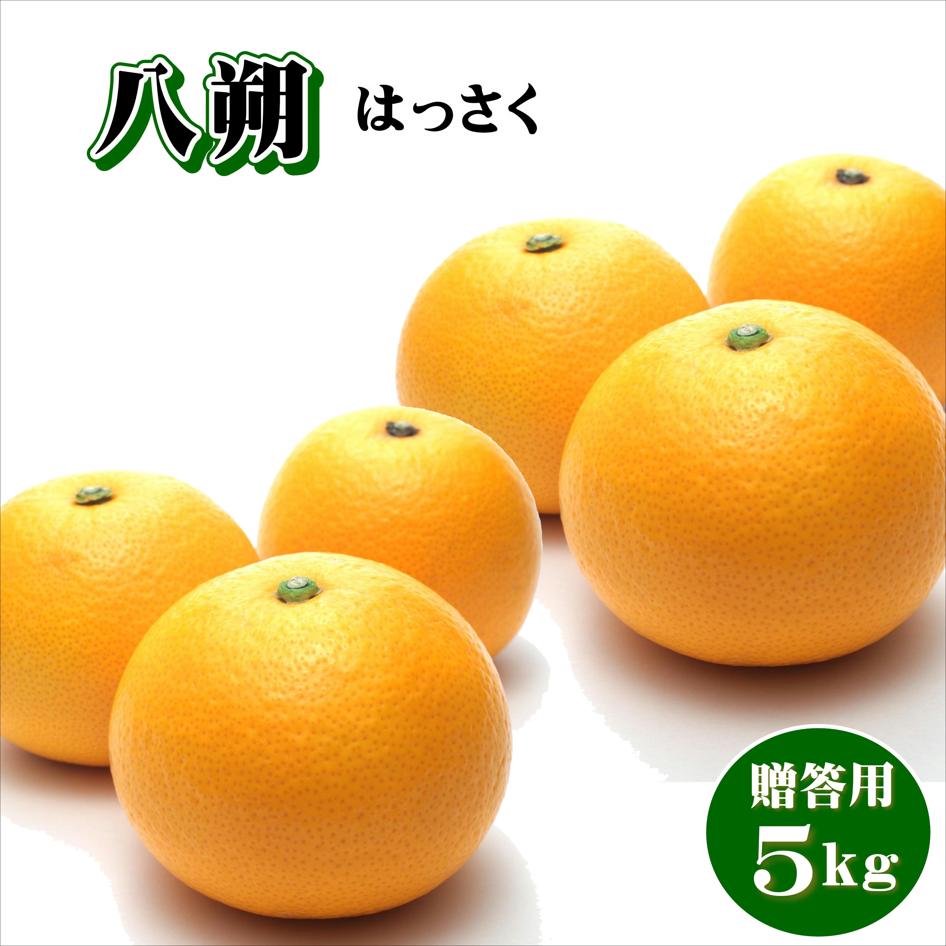 【ふるさと納税】八朔　5kg　贈答用のサムネイル