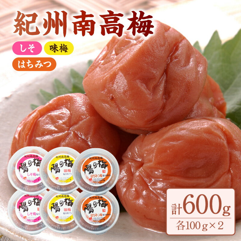 【ふるさと納税】紀州南高梅600g 味梅・しそ・はちみつ(各100g×2)