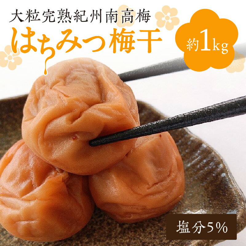 【ふるさと納税】はちみつ梅干し（大粒完熟紀州南高梅）約1kg 塩分約5％