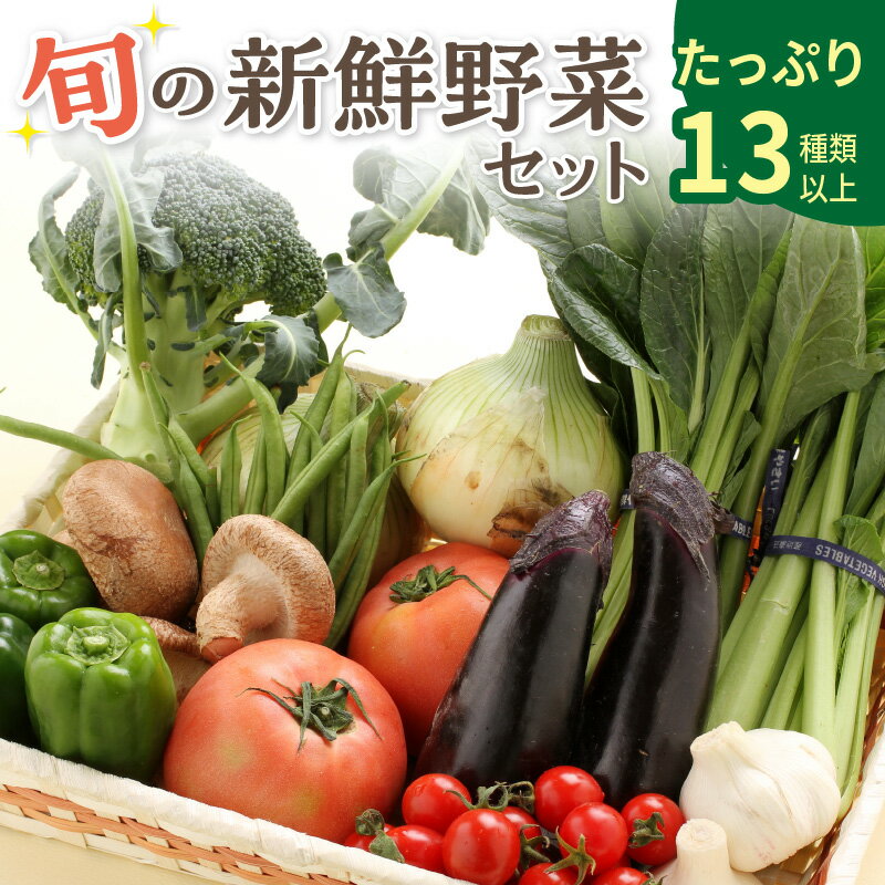 【ふるさと納税】旬の新鮮野菜セットたっぷり13種以上 野菜 旬の野菜 セット 詰合せ お野菜 送料無料 ...