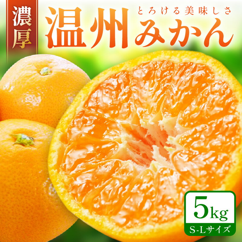 【ふるさと納税】「濃厚な味のとろける美味しさ」温州みかん 5kg 《先行予約》 ふるさと納税 みかん ...