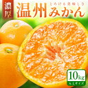 「濃厚な味のとろける美味しさ」温州みかん 10kg《先行予約》 ふるさと納税 みかん 甘い 和歌山 フルーツ 果物 くだもの 人気 10キロ 数量限定 期間限定 送料無料