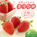 【ふるさと納税】和歌山生まれのイチゴ(まりひめ)《先行予約》大粒2パック いちご 苺 果物 フルーツ 大粒 まりひめ 期間限定 先行予約 数量限定
