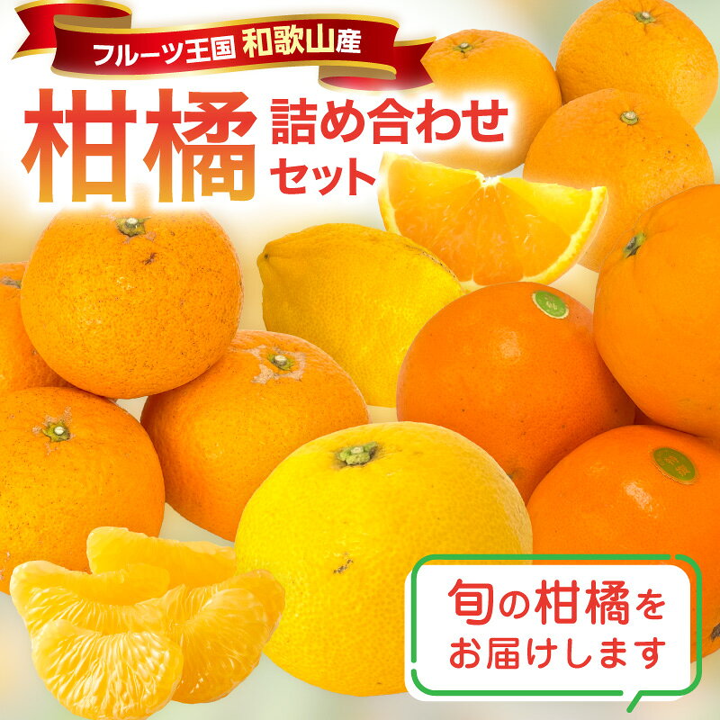 【ふるさと納税】柑橘詰め合わせセット 家庭用4種以上 和歌山産 約4kg 約7kg≪先行予約2027年1月下旬頃より順次発送分≫ ふるさと納税 みかん 果物 フルーツ f302058-gobo-10001379 和歌山県御坊市 サンプル画像2