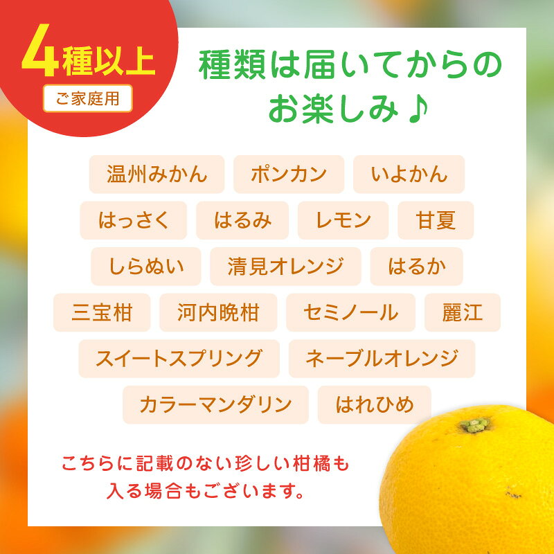 【ふるさと納税】柑橘詰め合わせセット 家庭用4種以上 和歌山産 約4kg 約7kg≪先行予約2027年1月下旬頃より順次発送分≫ ふるさと納税 みかん 果物 フルーツ f302058-gobo-10001379 和歌山県御坊市 サンプル画像3