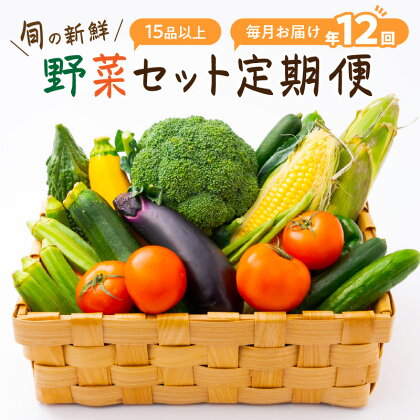 定期便 旬の新鮮野菜セットA【毎月お届け12回】たっぷり15品以上 ふるさと納税 野菜 ふるさと納税 定期便 野菜セットふるさと納税 定期便 12回 旬の野菜 セット 定期 送料無料