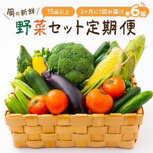 【ふるさと納税】定期便 旬の新鮮野菜セットB【年6回】たっぷり15品以上 ふるさと納税 野菜 ふるさ...