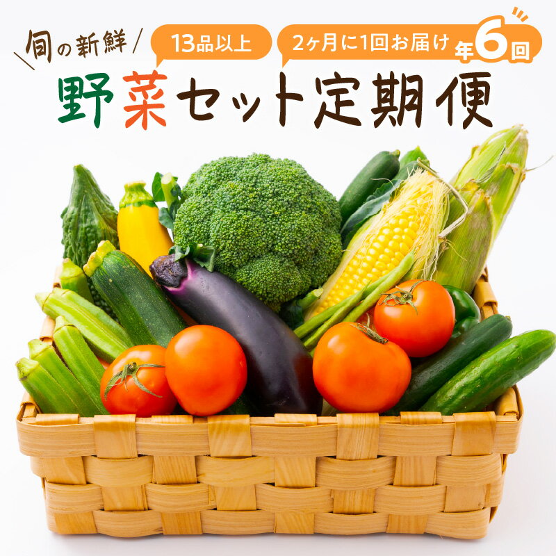 楽天和歌山県御坊市【ふるさと納税】定期便 旬の新鮮野菜セットB【年6回】たっぷり13品以上 ふるさと納税 野菜 ふるさと納税 定期便 野菜セット 旬の野菜 お野菜 定期便 6回 6ヶ月 送料無料