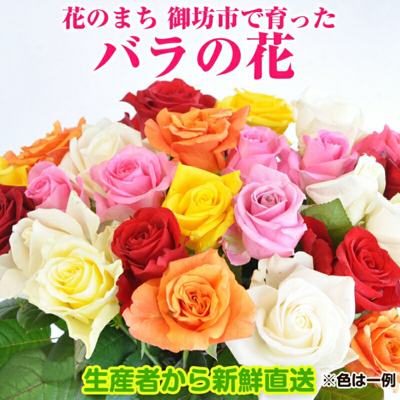 【ふるさと納税】バラの花 約20本 花のまち御坊産の薔薇 生産者から新鮮直送【配送不可地域】北海道・青森・秋田・岩手・沖縄のサムネイル