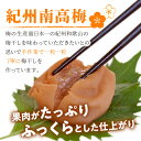 和歌山県御坊市の画像3
