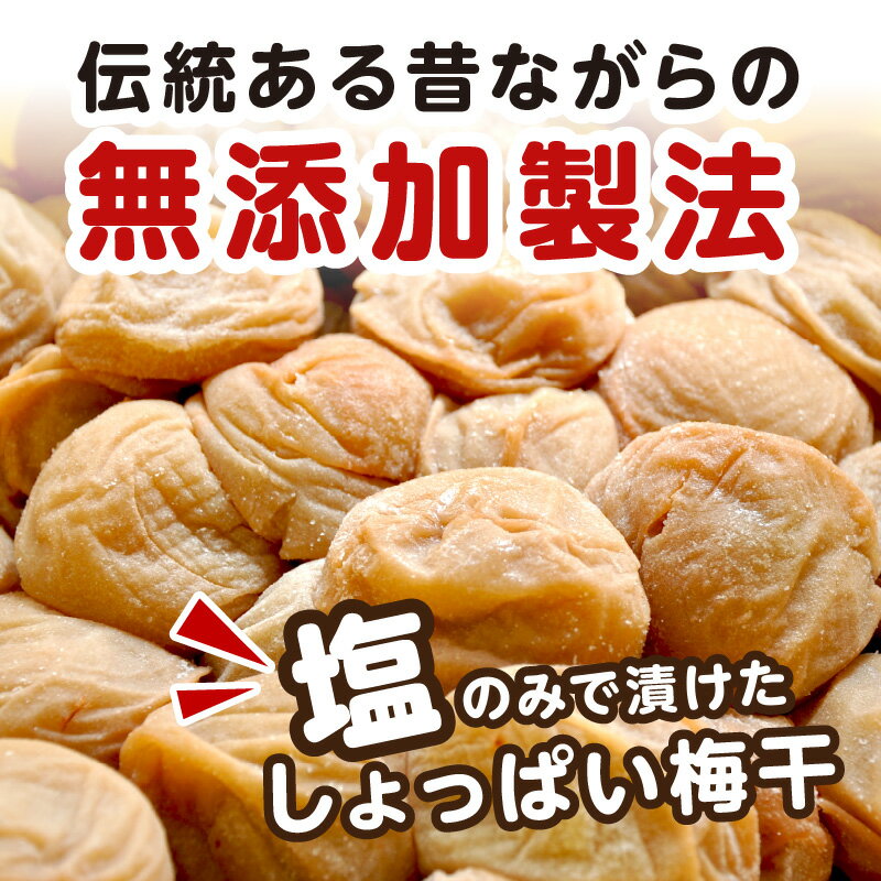 【ふるさと納税】昔ながらのしょっぱい梅干し 2kg 中粒2L（白干梅）［無添加］ふるさと納税 梅干し 2キロ 無添加 すっぱい梅干 和歌山県産 紀州南高梅 送料無料