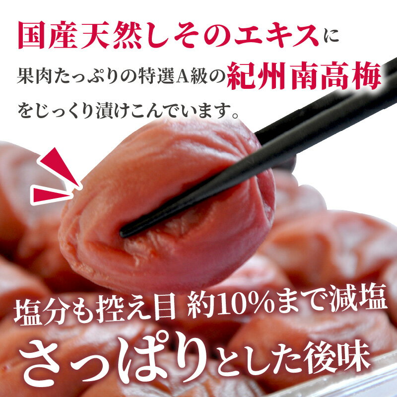 【ふるさと納税】しそ漬け梅干(紀州南高梅)1kg・2kg 特選A級 大粒 3L以上 和歌山県産 ふるさと納税 梅干し ふるさと納税 うめぼし ふるさと納税 しそ梅 人気 1キロ 2キロ 送料無料 減塩