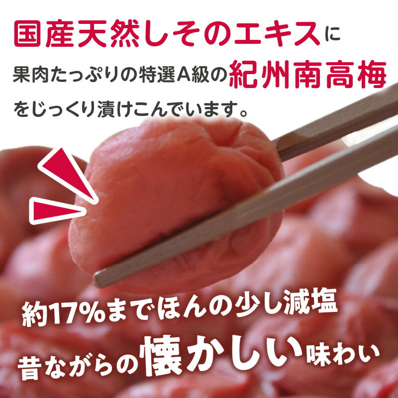 【ふるさと納税】しそ漬け梅干し 1kg 昔ながらのしょっぱい梅干し すっぱい梅干（塩分約17%）和歌山県産