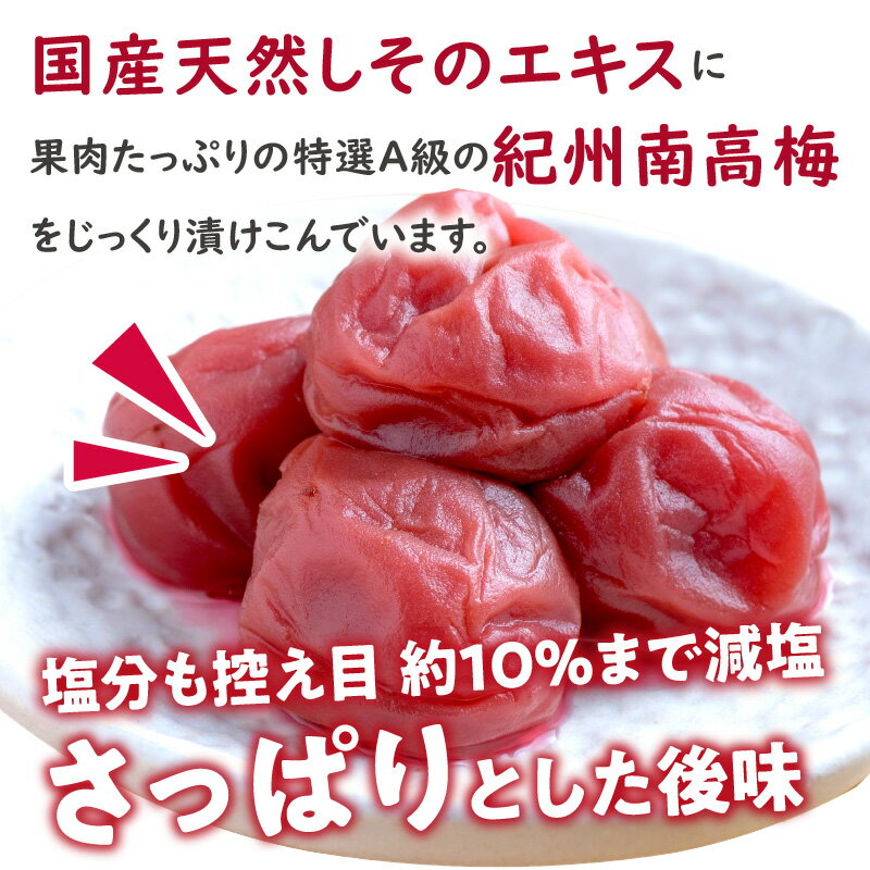 【ふるさと納税】しそ漬け梅干し(紀州南高梅)1kg ・2kg特選A級 中粒 2L 和歌山県産 梅干し 梅干 うめぼし しそ梅 しそ 送料無料 ふるさと納税 梅干し 減塩