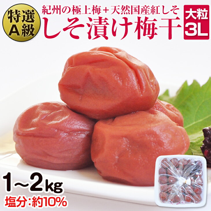 【ふるさと納税】しそ漬け梅干(紀州南高梅)1kg・2kg 特選A級 大粒 3L以上 和歌山県産 ふるさと納税 梅...