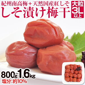 【ふるさと納税】しそ漬け梅干(紀州南高梅)800g・1.6kg 大粒 3L以上 和歌山県産 梅干し うめぼし ふるさと納税 しそ梅 人気 800g 1.6キロ 送料無料 減塩